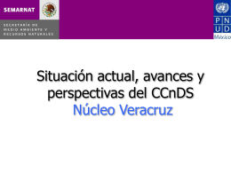 Informe-Veracruz