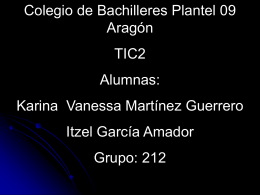 Colegio de Bachilleres TIC2 Karina Martínez