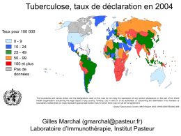 M. tuberculosis