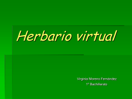 Herbario digital