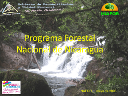 Borrador Programa Forestal Nacional de Nicaragua