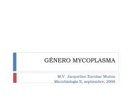 GÉNERO MYCOPLASMA