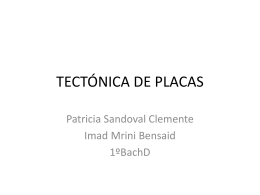 TECTNICA DE PLACAS