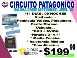 CIRCUITO PATAGONICO