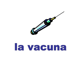 Vocabulario - Flashcards