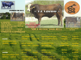 R15 - Ranchos Colorado y Don Enrique