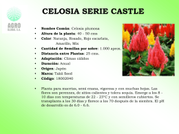 Celosia Serie Castle Celosiaseriecastle 417.00 KB