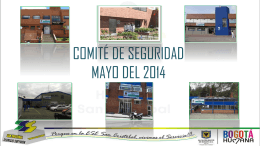 COMITE DE SEGURIDAD MAYO DEL 2014