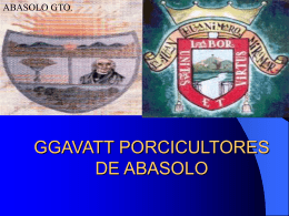 ABASOLO GTO. - intranet fgp