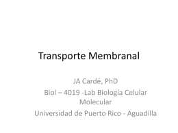 Lab7_TransporteMembranal