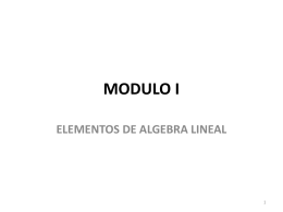 MODULO I (ecuaciones lineales)