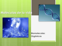 Moléculas de la vida Biomoleculas: Orgánicas