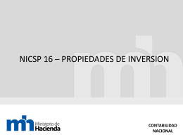 Presentación NICSP 31 (Activos Intangibles)