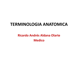 TERMINOLOGIA ANATOMICA - antomiayfisiologiaumb