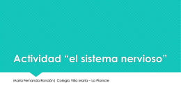 SISTEMA NERVIOSO 2do “D” - Colegio Villa María La Planicie