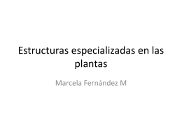Estructuras especializadas en las plantas