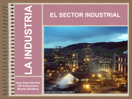 El sector industrial