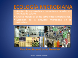 ECOLOGÍA MICROBIANA - Flor García Huamán