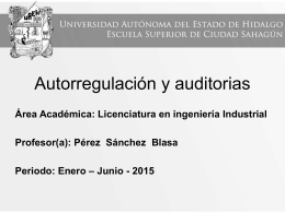 Autorregulacion_y_Auditorias (Tamaño: 1.16M)