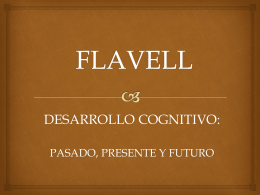 FLAVELL EXPO (454097)