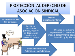 PROTECCIÓN AL DERECHO DE ASOCIACIÓN