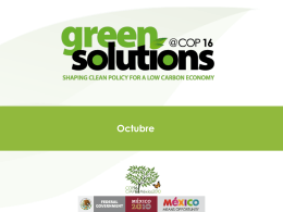 Green Solutions at COP 16 20_10_10