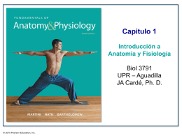 AP_Cap1_Introduccion