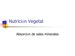Nutrición Vegetal