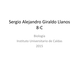 Sergio Alejandro Giraldo Llanos sistema inmune