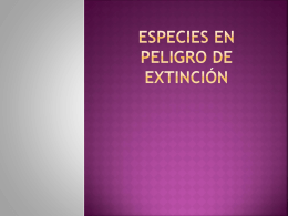 Especies En Peligro De extinción