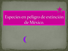Especies en peligro de extinción de México.