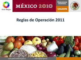 22119.177.59.12.Reglas de Operación 2011