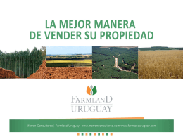 Mas información - Farmland Uruguay