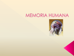 MEMORIA HUMANA