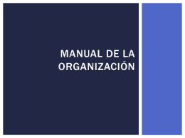 Manual de la Organización - Maestra