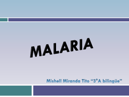 MALARIA POR MISHELL