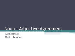 Noun * Adjective Agreement