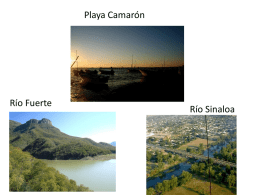 Playa Camarón - dgeti quintana roo