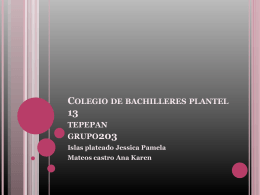 Colegio de bachilleres plantel 13 tepepan grupo203