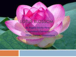9 Lotus Blossom - Página oficial del Doctor Rogelio Davila Pérez