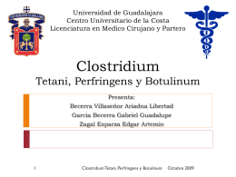 clostridium tetani