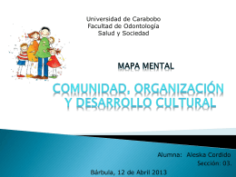 La comunidad, organizacion y desarrollo cultural (2
