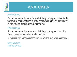 ANATOMIA - Eco Salud Estudiantes XDDD