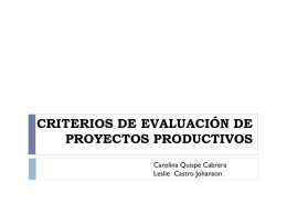 criterios de evaluación de proyectos productivos