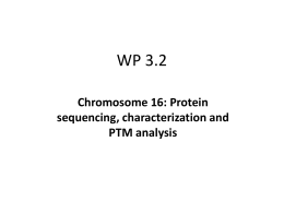 Chromosome 16: Protein sequencing, characterization and