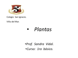 plantas - Tía Sandra Vidal