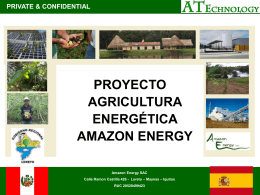 Diapositiva 1 - Amazon Energy