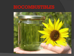biocombustibless-111118235333