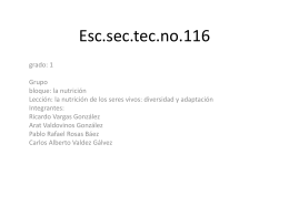 Esc.sec.tec.no.116 - est116-1d