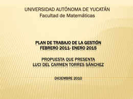PLAN DE TRABAJO DE LA GESTIÓN FEBRERO 2011